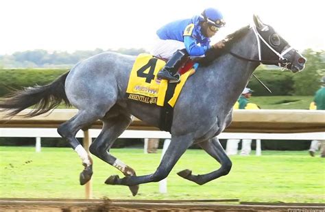 bovada horse racing